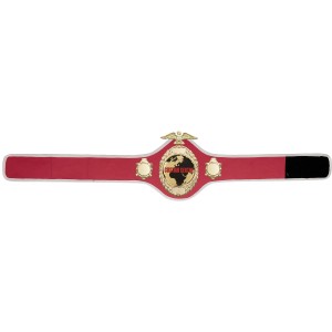 GOLD PRO288 CUSTOM CHAMPIONSHIP BELT  ***BEST SELLER***